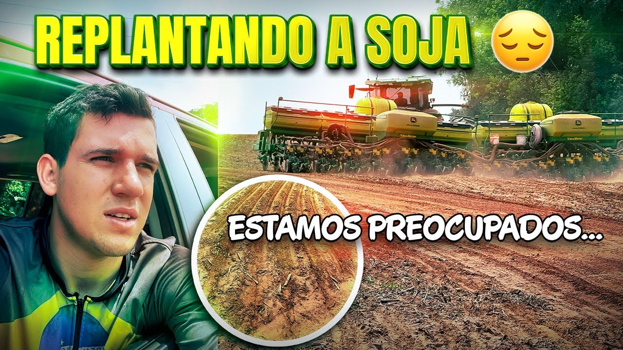 Mato Grosso safra de soja desafiadora&hellip;