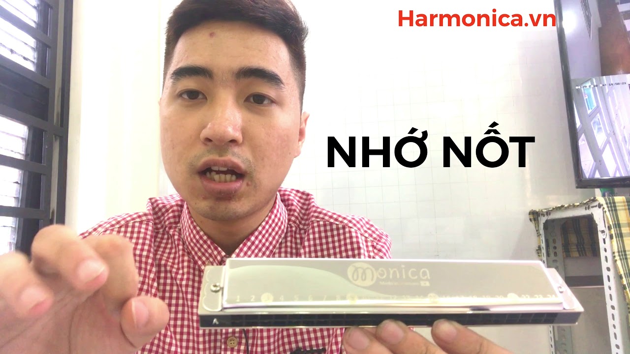 Tremolo “M-Tab 24” | Dành riêng cho người mới tập Harmonica