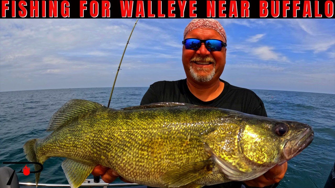 Walleye Fishing near Buffalo