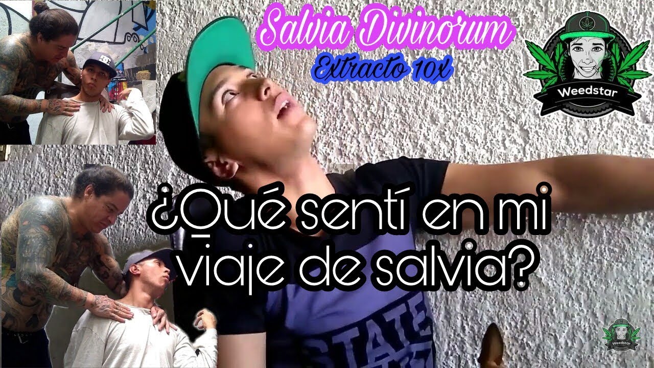 &iquest;Qu&eacute; se siente fumar salvia? (+18) Mi Salviaje de 10x