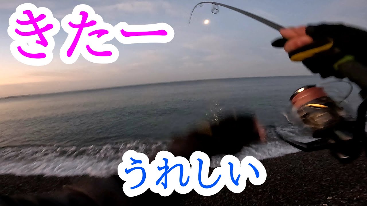 #501 【ショアジギング】和歌山サーフで大物青物狙い　ブリ サワラは居てるのか　釣行２０２６年２月上旬　 #ブリ #サワラ #釣り初心者 #大物 #ショアジギング