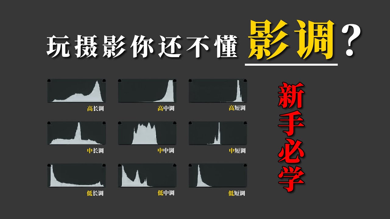 为什么你拍不出高级感？因为你还不懂影调！！