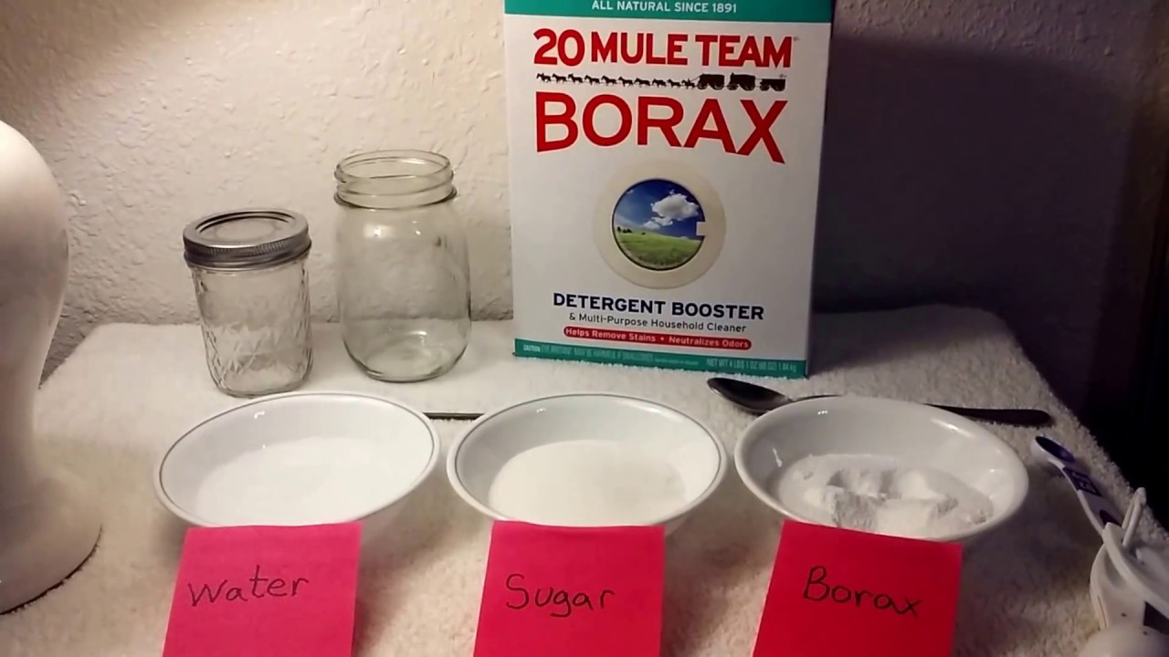 Borax and DIY Ant Trap (with educational, health, and safety facts using all natural  Borax).