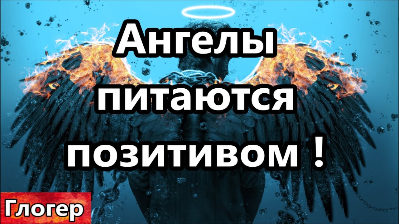 Ангелы питаются позитивом ? На Земле все друг друга едят ! #США  #Америка #Флорида #Майами
