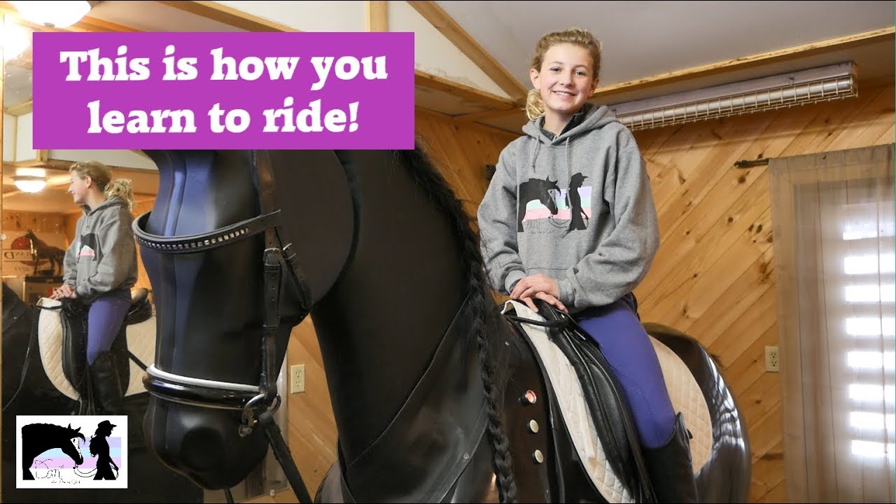 Horse Simulator