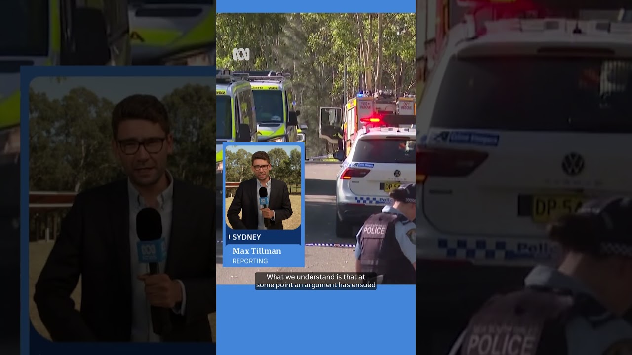 15yo boy charged with murder after teen dies in Sydney stabbing | ABC NEWS