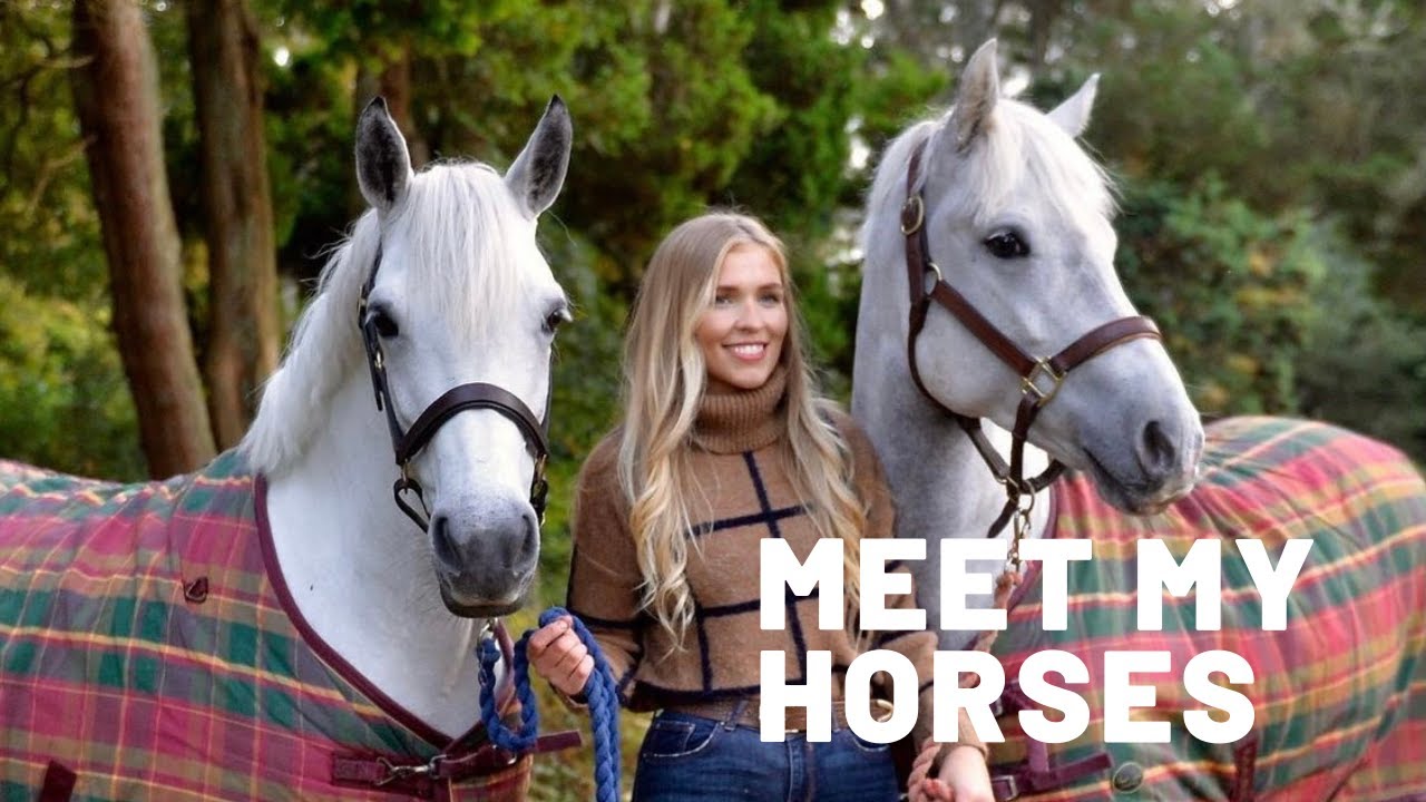 MEET MY HORSES - plus a drone flight around my yard!