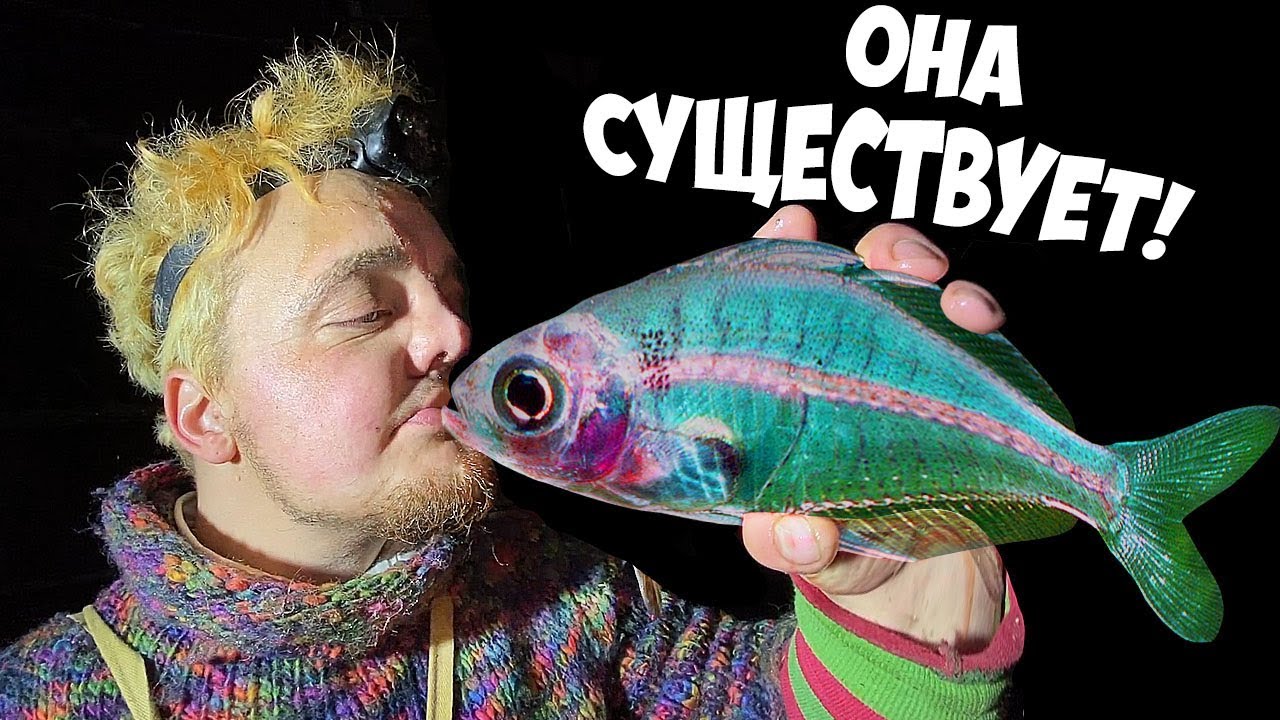 ИЩЕМ ПРОЗРАЧНУЮ РЫБУ | РЫБА МАРАМОЙКА !!
