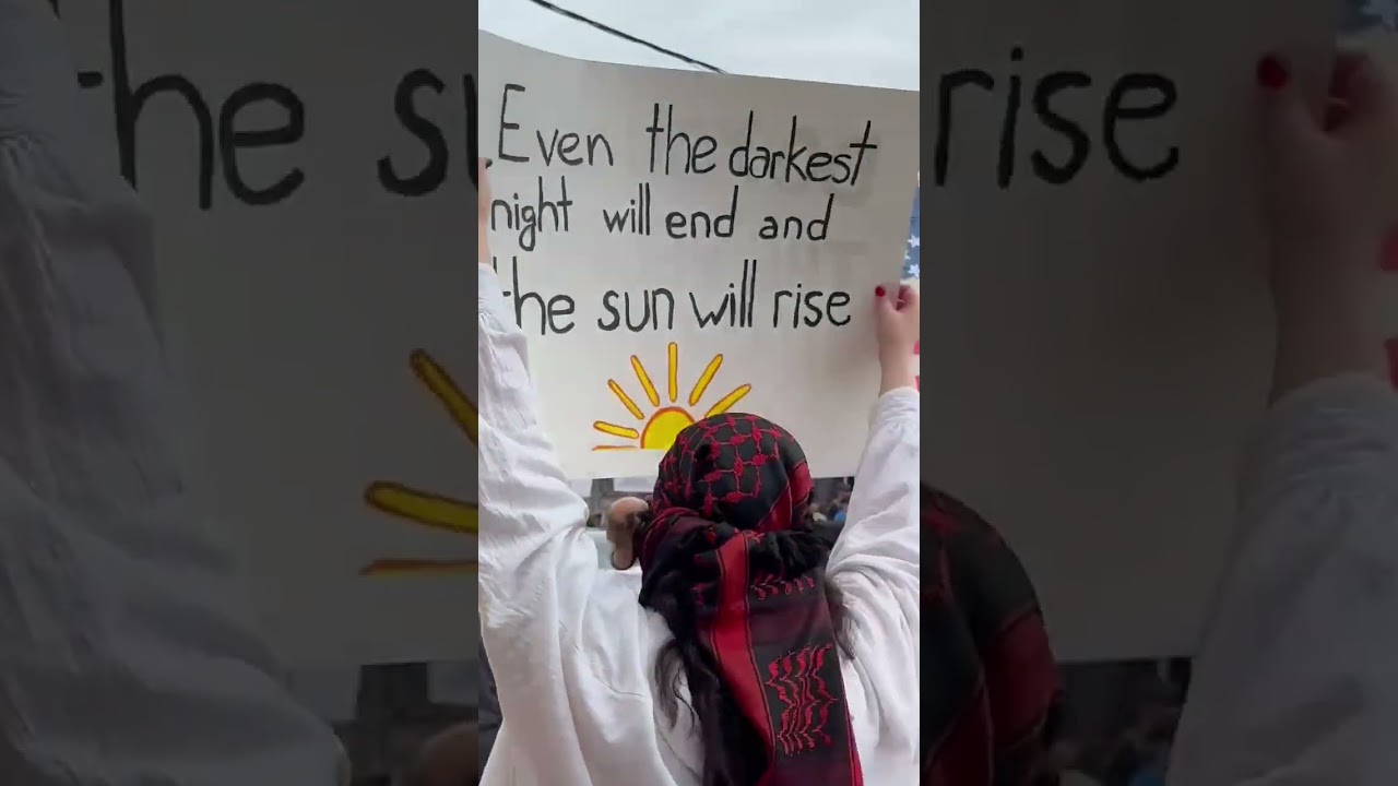 No Kings Day, Berryville, Virginia Protest Rally and March downtown/ #news #nokings #nokingsday