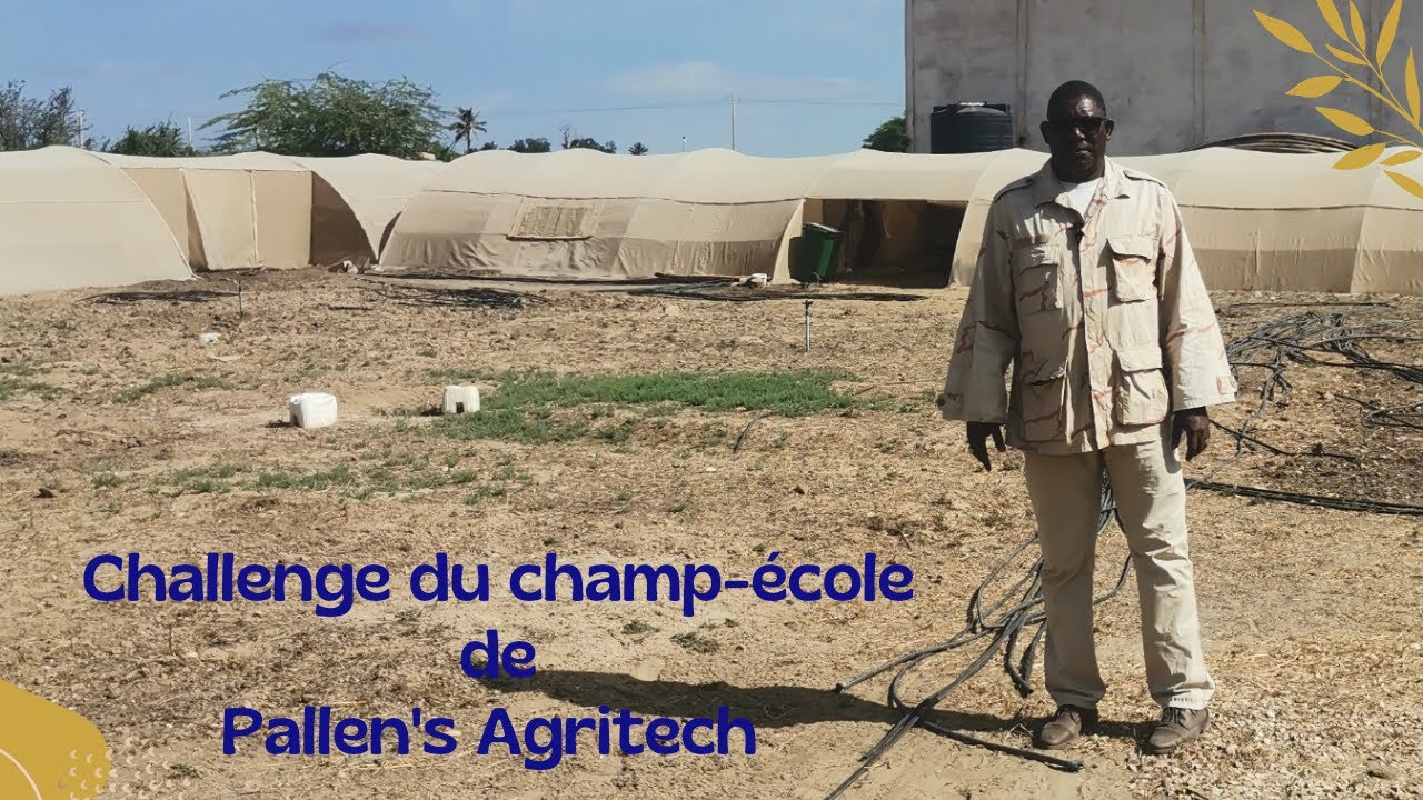 challenge culture sous serre Pallen's Agritech