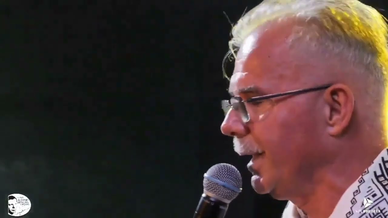 Petrica Miulescu Irimica - Mandrulita me din Bozovici ( Brauri Live )