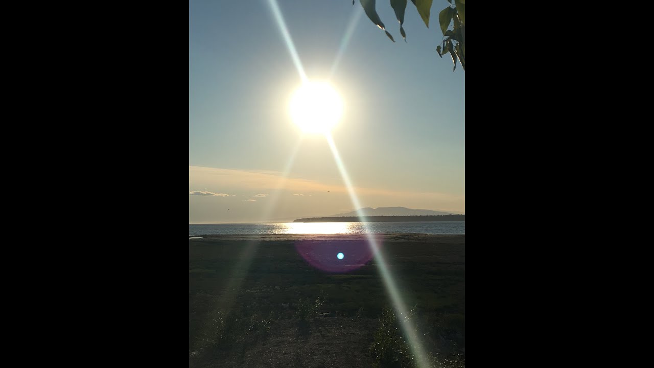 The Alaska Diaries