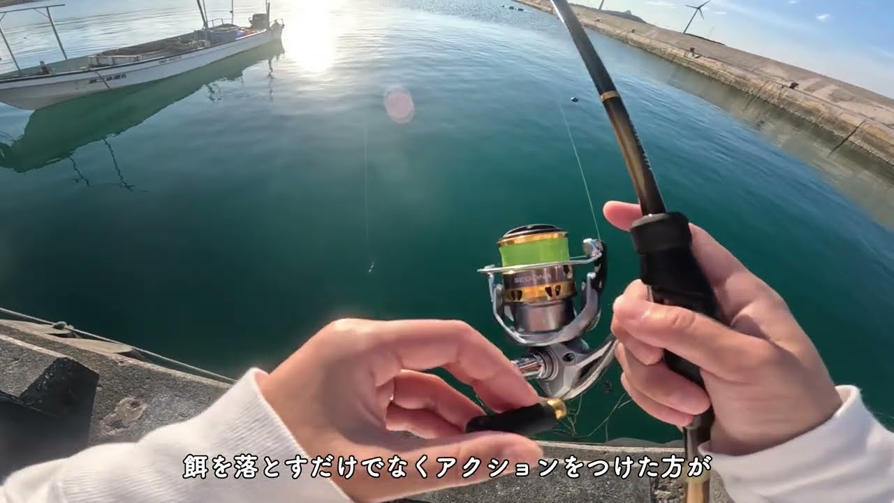 魚の大行進に、超巨大エイ。宮古島の魚影がヤバすぎた・・・