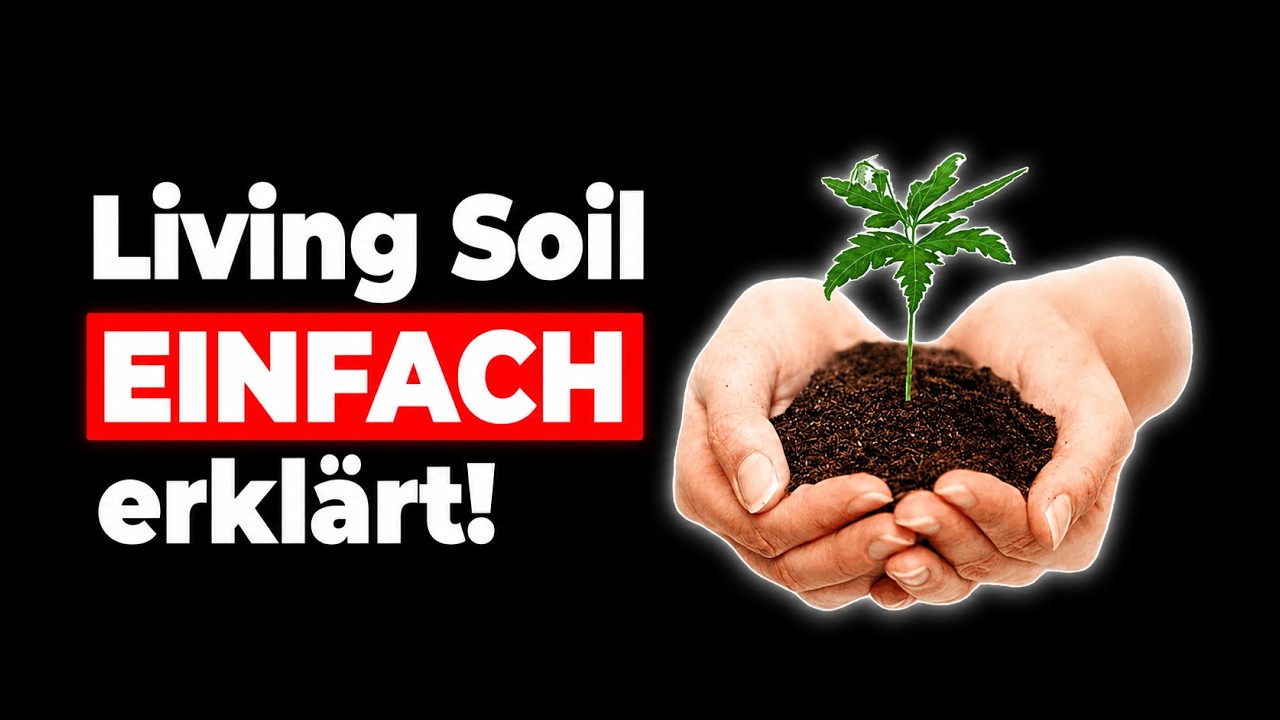 Living Soil einfach erkl&auml;rt: Alles, was du wissen musst - Bestandteile, Bodennahrungsnetz & mehr!