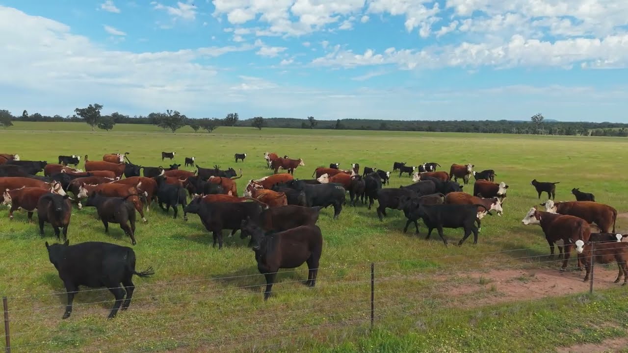 'Katella' 7878 Newell Highway, Tomingley NSW 2869 - Auction