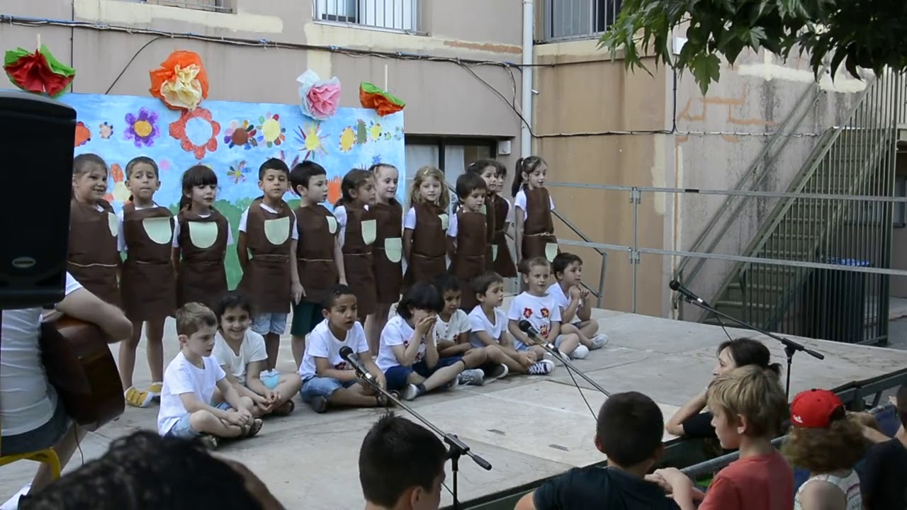 11 MS GS tippiti