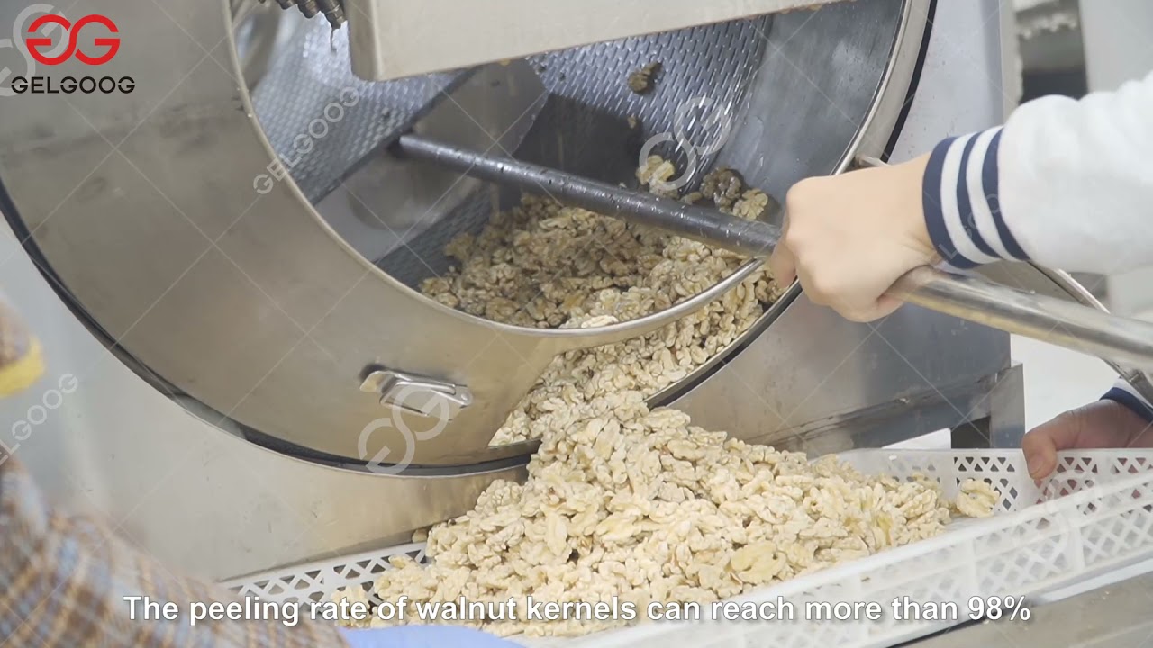 Automatic Walnut Kernel Processing Line - Soaking, Peeling, Washing, Drying Machine