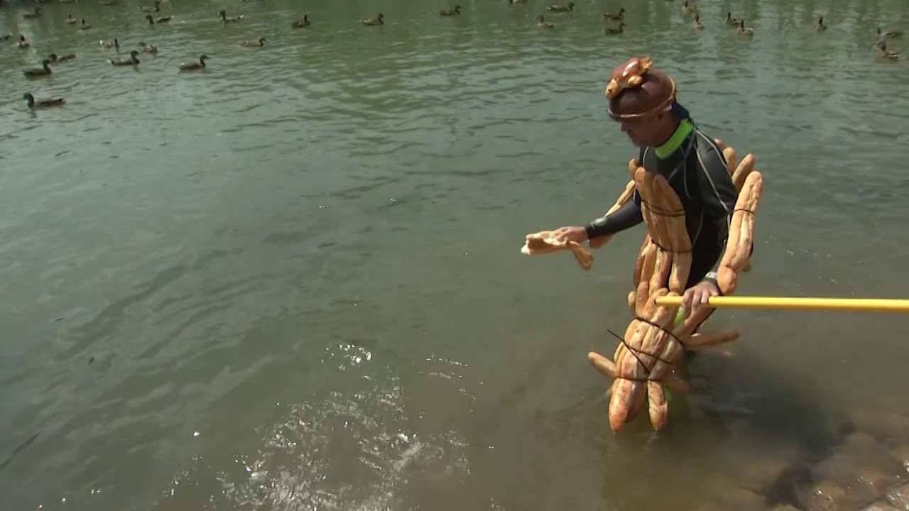 City of Grand Prairie: Man vs Carp @ Joe Pool Lake