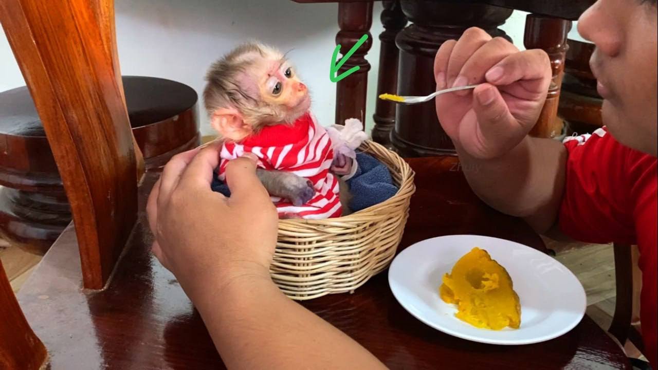 P..0r Baby Close Her Mouth Don’t Like To Eat Pumpkin Boil