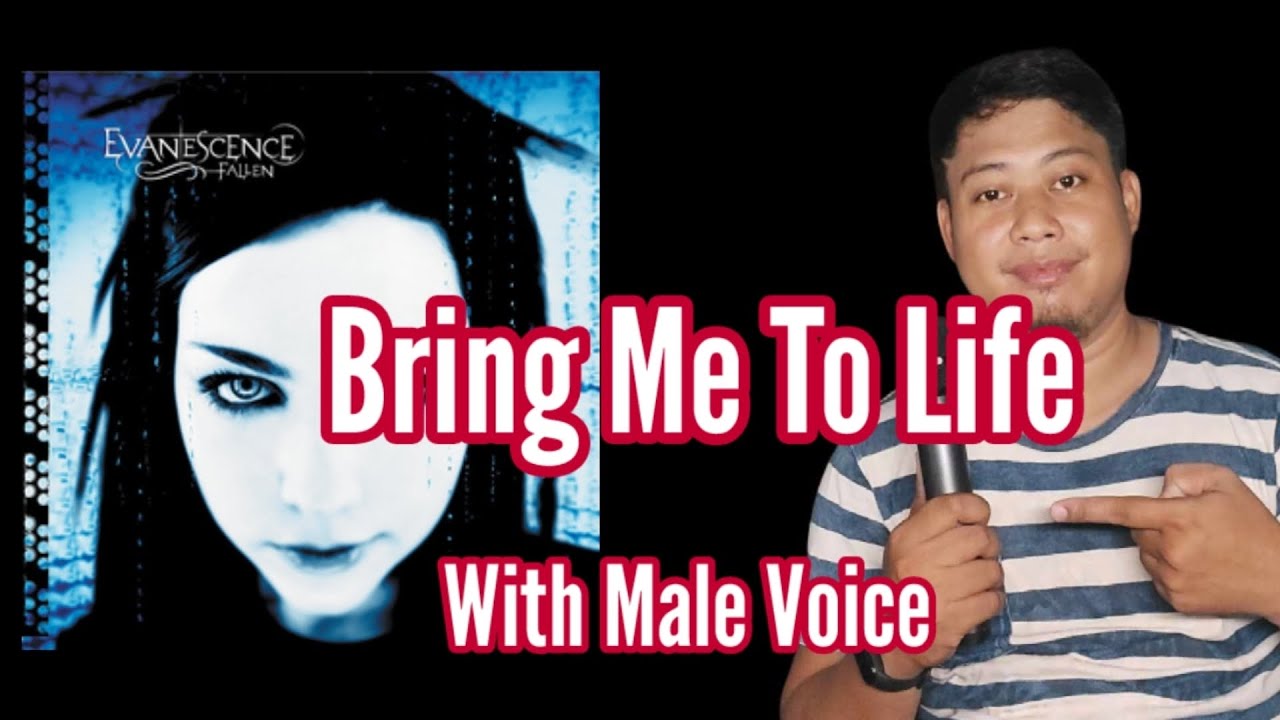 Bring Me to Life - Evanescence -Sing With Me
