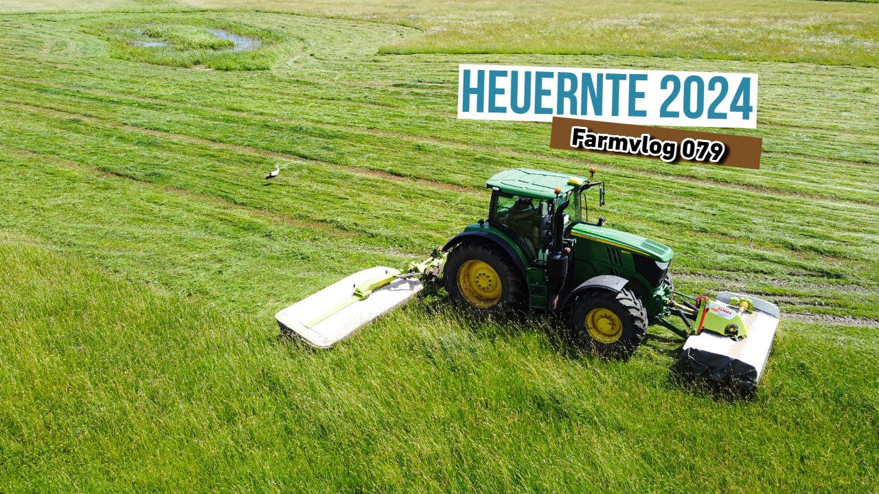 Zwei Hirsche bei der Äsung | Heuernte an der Elbe 2024 - Farmvlog 079