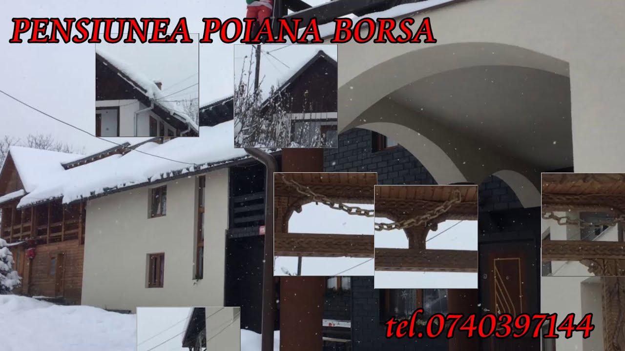 Cazare Borsa Pensiunea POIANA