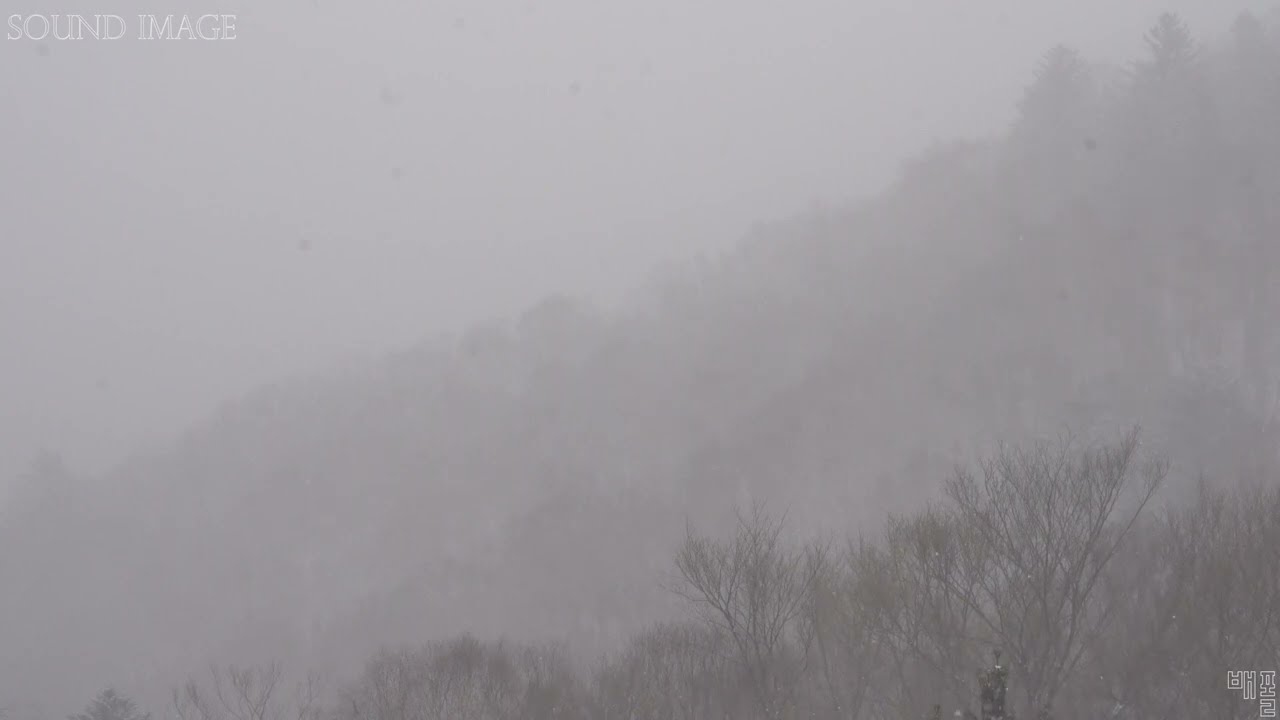 4K 오대산 서대  폭설 눈보라 (마음이 어지러울때 보는 영상)