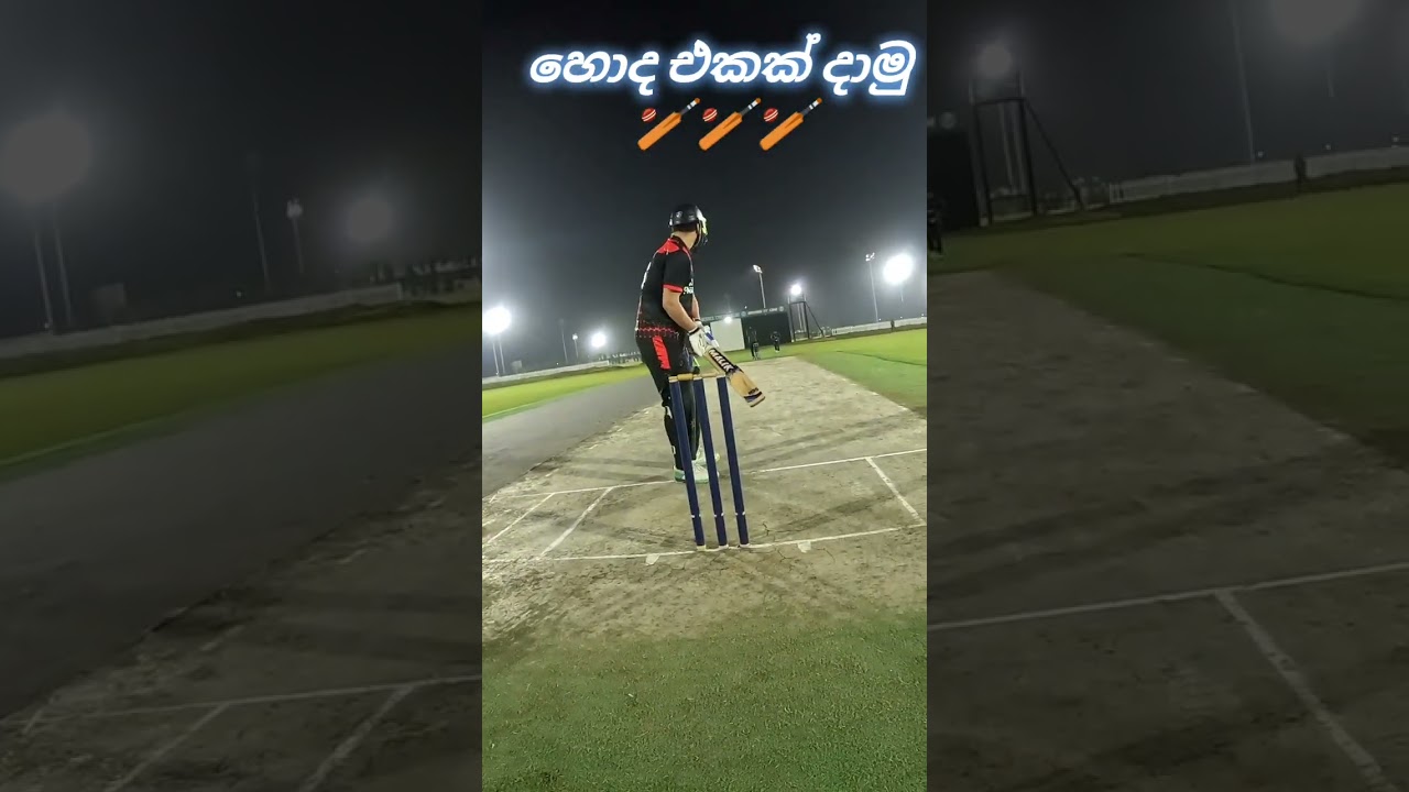 හොද එකක් දාමු  | cricket highlights | chamikavlogs5000 