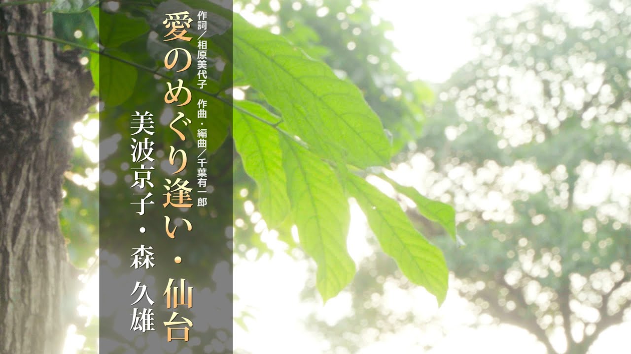 愛のめぐり逢い・仙台／美波京子 森 久雄【ミュージックビデオ】