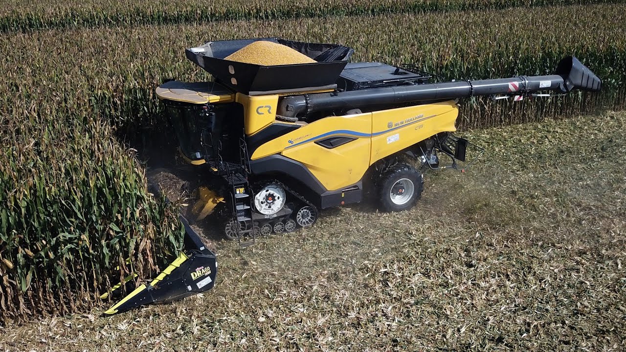 New Holland CR 11 | Olimac Drago GT 12 file | Trebbiatura mais | Harvesting Corn | 2024