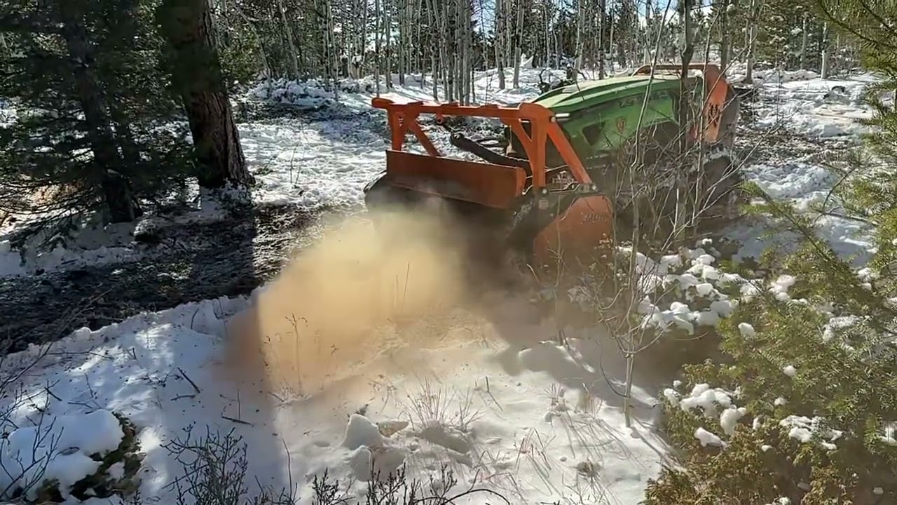 Forestry Mulching in Boulder County, CO | Mountain Mulchers