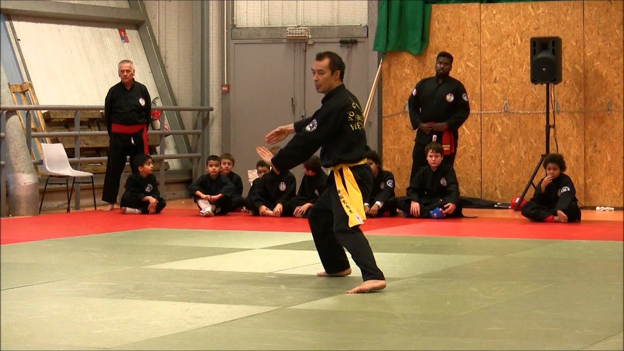 Kung Fu Vietnamien Metz 16.11.2014