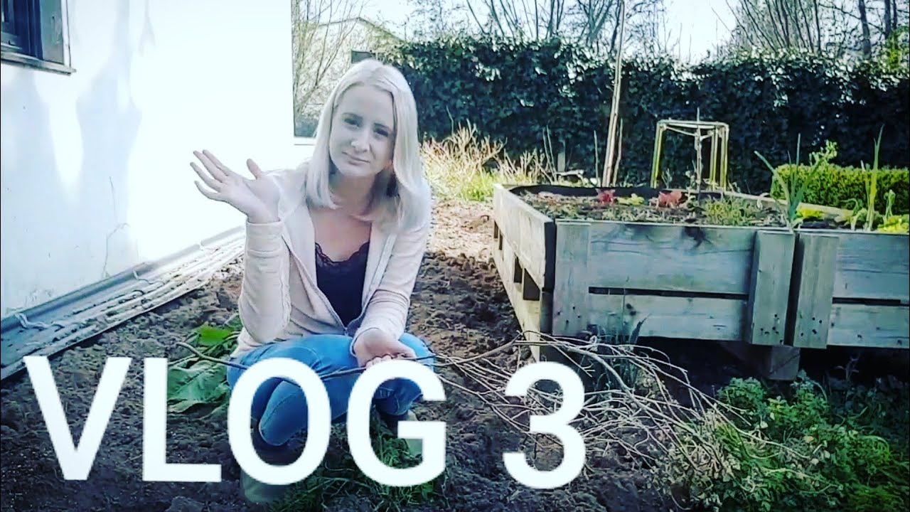 VLOG 3 | Wok, Muffins, Gartenarbeit, Hochbeet, Fairy Box | Alltag