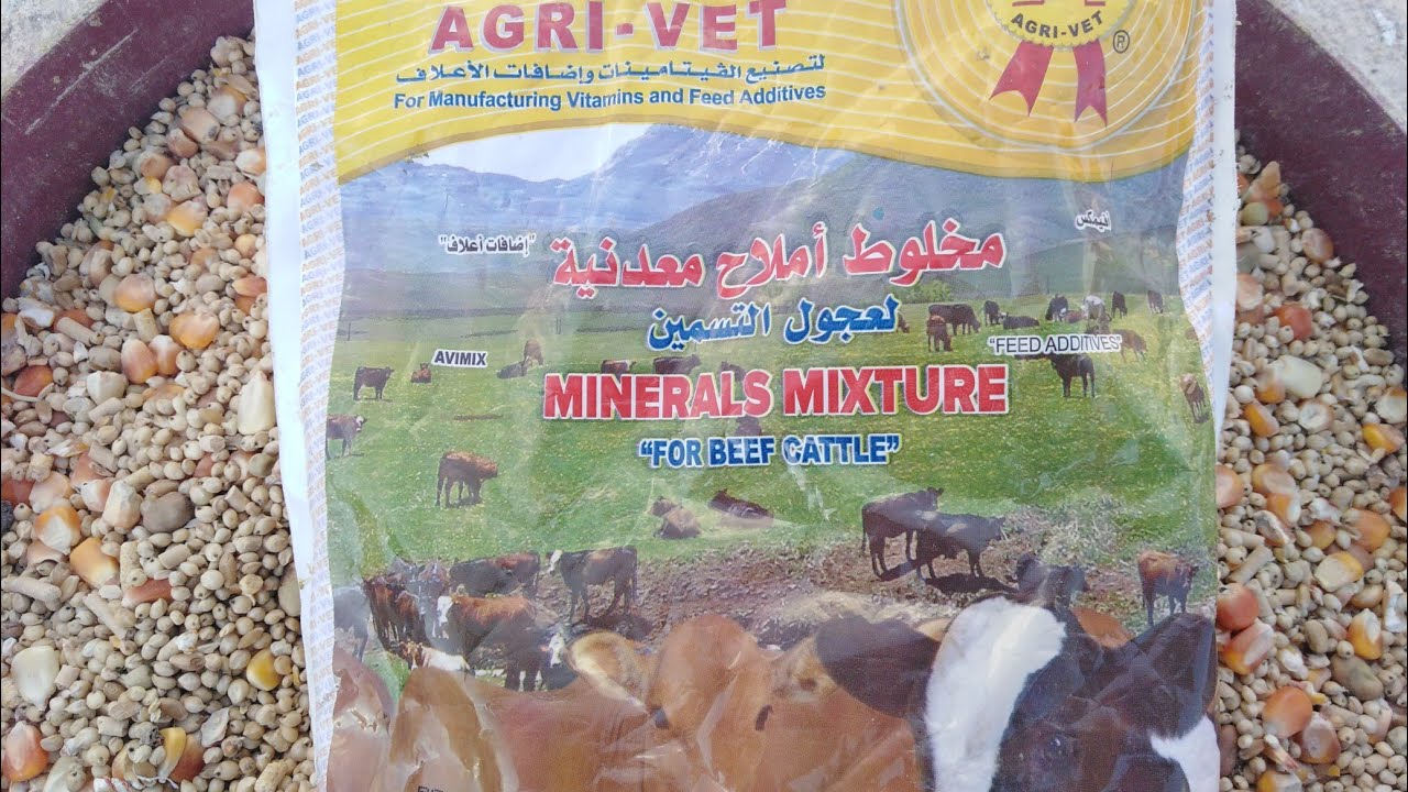 أهمية الأملاح المعدنية وفوايدها للحمام واستخدامها.