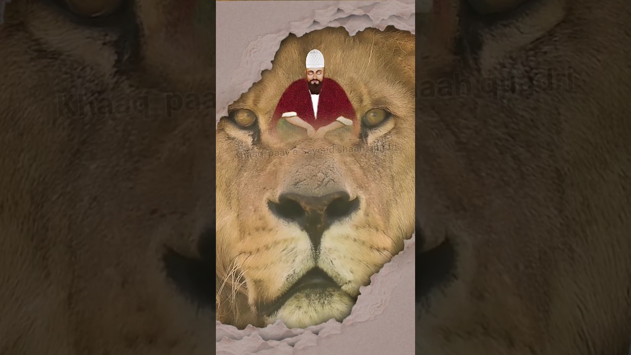 sailani baba ka diwana qawwali | Sailani baba