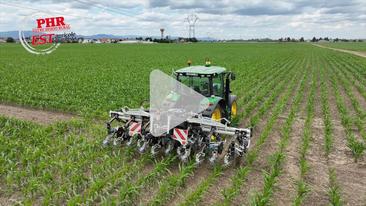 Test de la bineuse Samo Vario Chop par Green'Puls