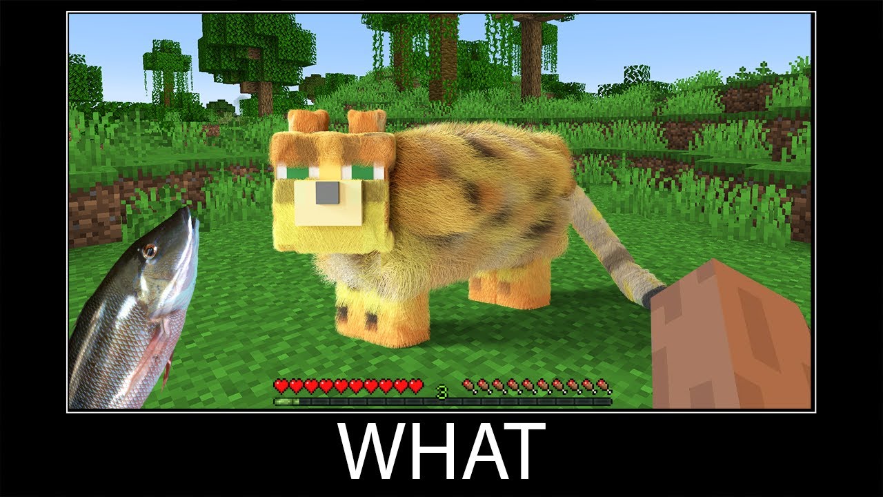Minecraft wait what meme part 83 realistic minecraft Ocelot