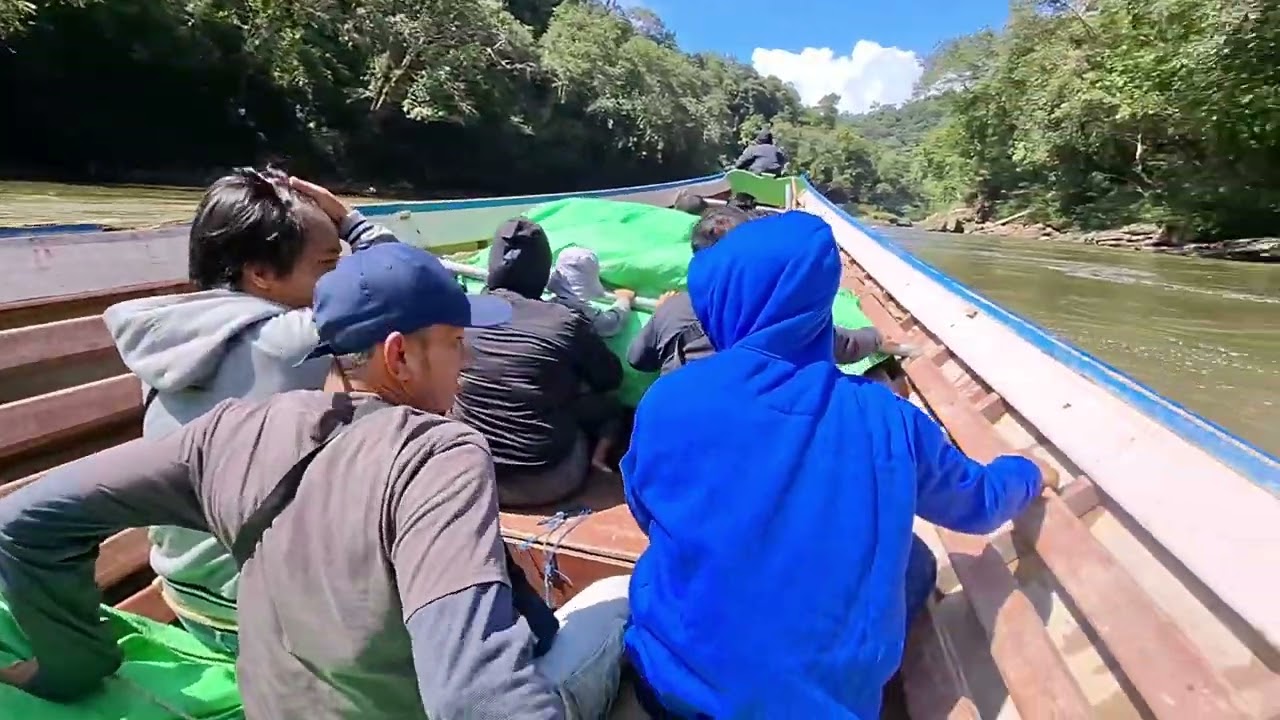 RIAM TERGANAS MENUJU PERBATASAN #transportasi #sungaimahakam #hutankalimantan #kalimantantimur
