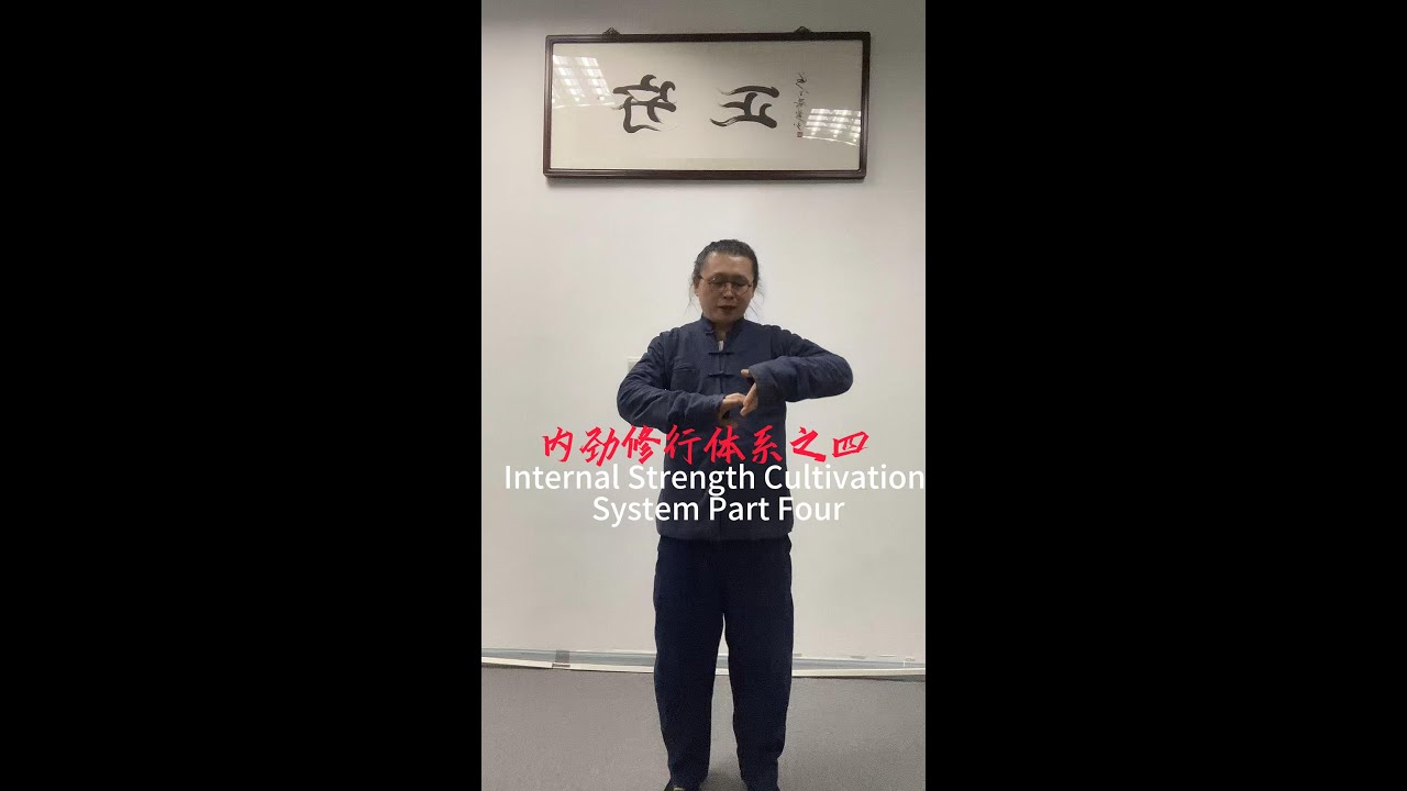 内劲修行体系之四 #kungfu #martialarts #chineseculture #内劲 #太極拳 #武術