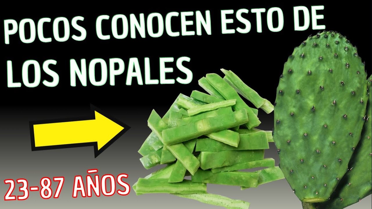 Si TIENES entre 23 y 87 AÑOS debes ver ESTE VÍDEO! Beneficios de los NOPALES