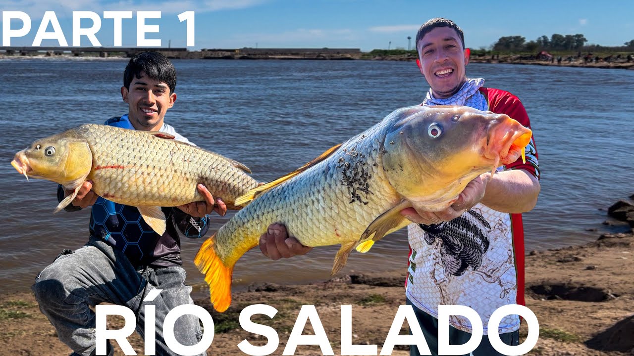 ¡ROQUE PÉREZ NUNCA FALLA! PESCA de BESTIAS en EL RÍO SALADO.