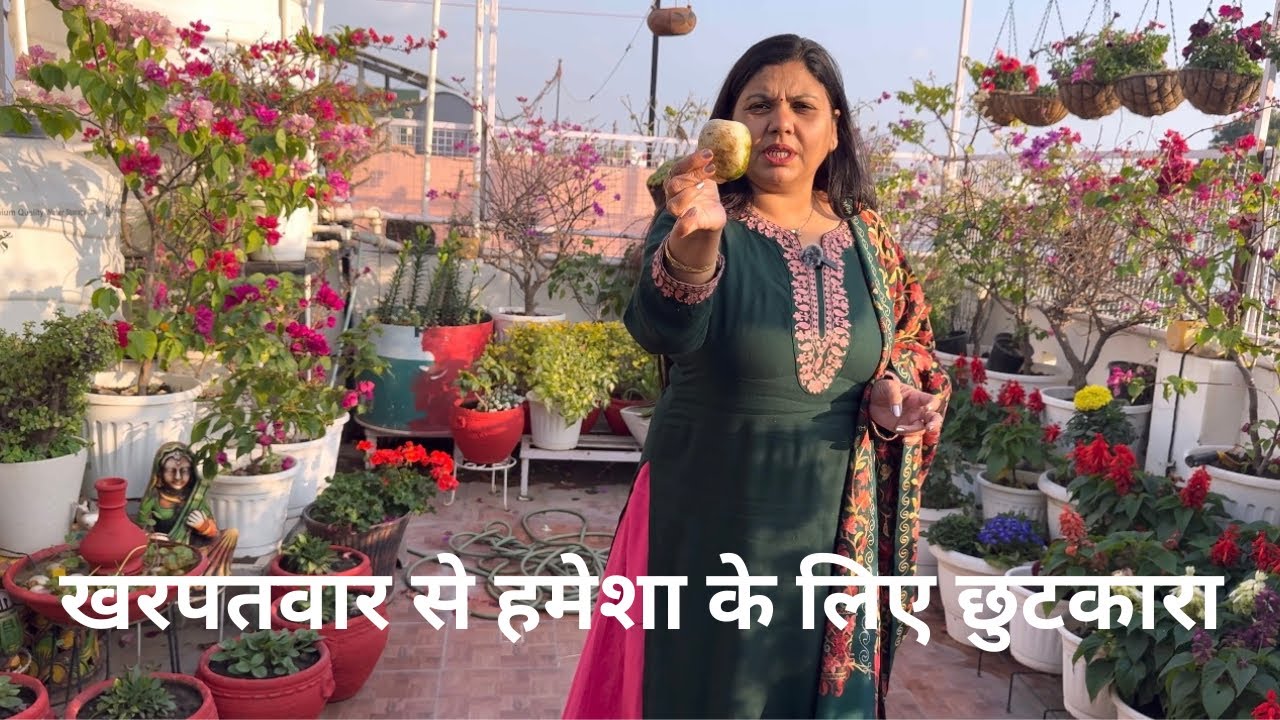 एकदम फ्री में खर पतवार कैसे हटायें क्या ये पता था आपको ||