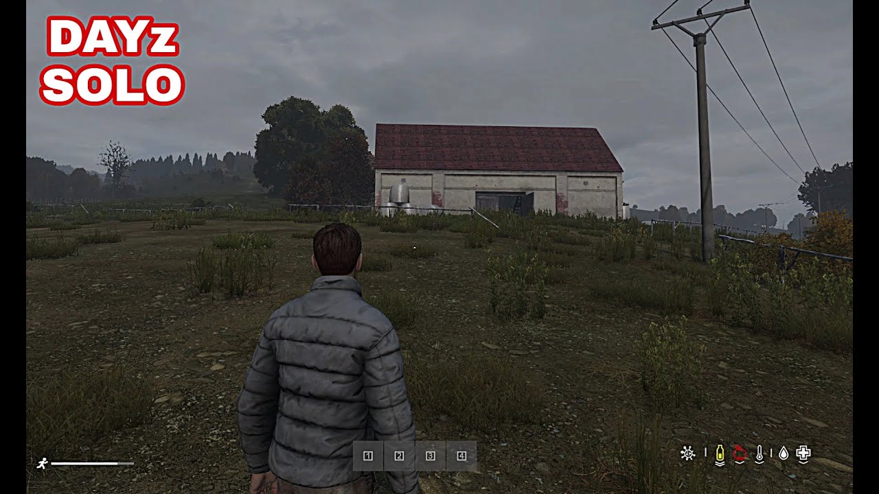 DAYZ JOGANDO PELA PRIMEIRA VEZ NAO E NADA DO QUE ESPERAVA