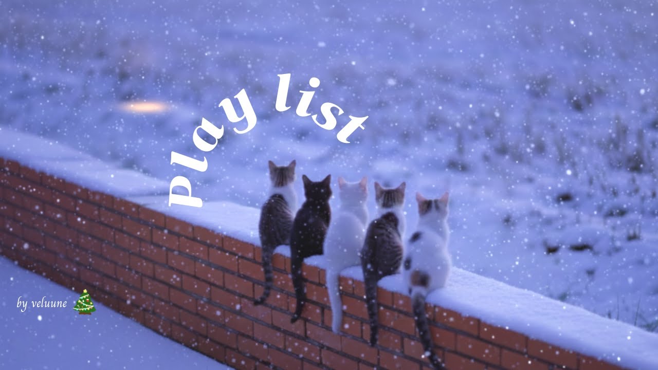 𝐏𝐥𝐚𝐲𝐥𝐢𝐬𝐭 [Cafe] Идеальная новогодняя атмосфера 🎀 Зимнее кафе 🎵 Музыка для настроения