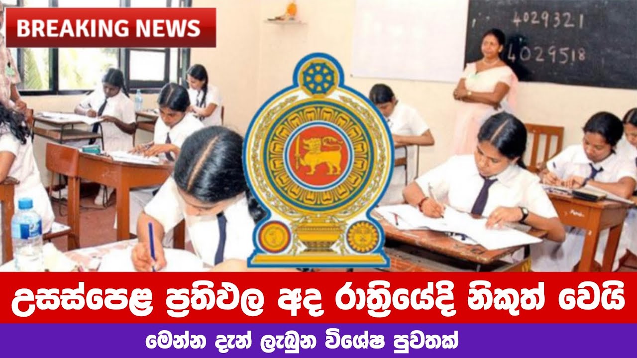 2025 A/L Exam Result Released | උසස්පෙළ ප්&zwj;රතිඵල නිකුත් වෙයි | A/L Exam Result | Hiripoda wassa 
