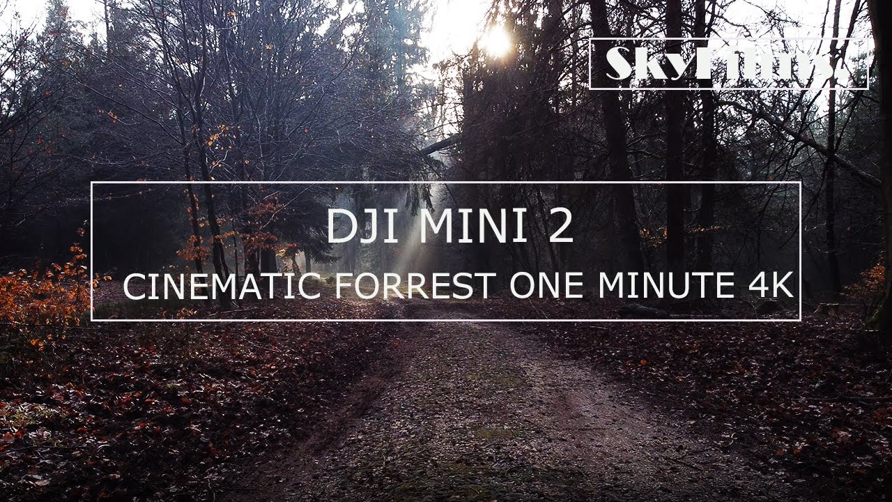 DJI MINI 2 - CINEMATIC FORREST ONE MINUTE | 4K
