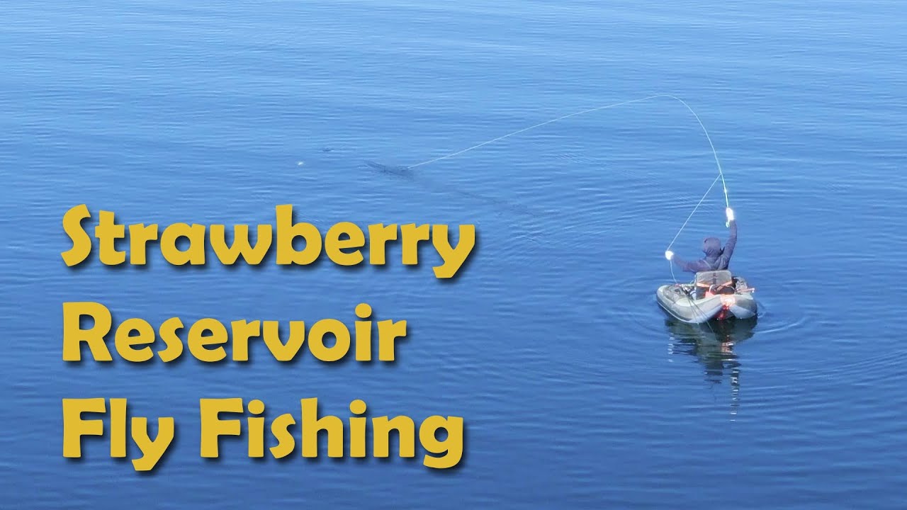Balanced Leeches Save the Day - Fly Fishing at Strawberry Reservoir