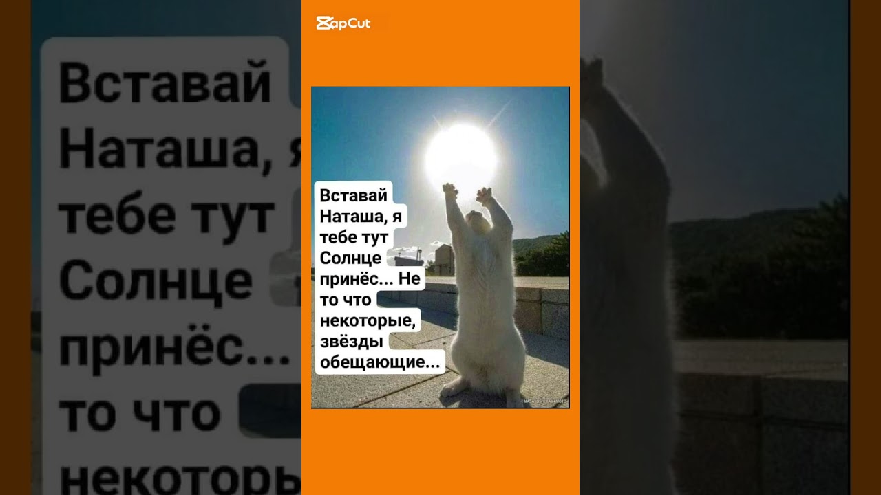 #memes #мем #жизненно #юмор #смехпродлеваетжизнь #viral #прикол #humor #cat #кот