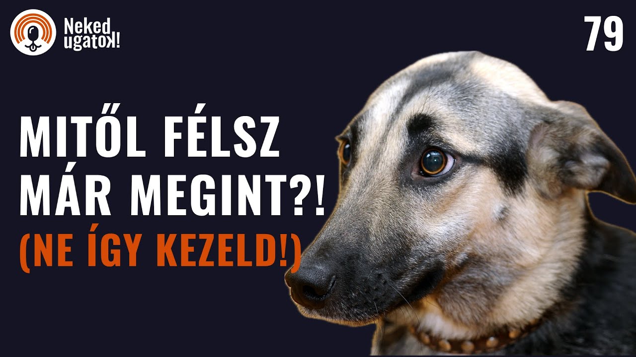 Mi van a fejében, amikor fél (és hogy segítsek neki)? | #79
