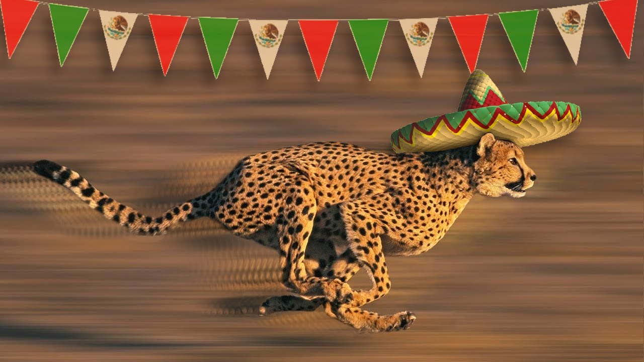 How To Understand Fast Spanish Speakers 🚀😱 (TRY THIS NOW!)